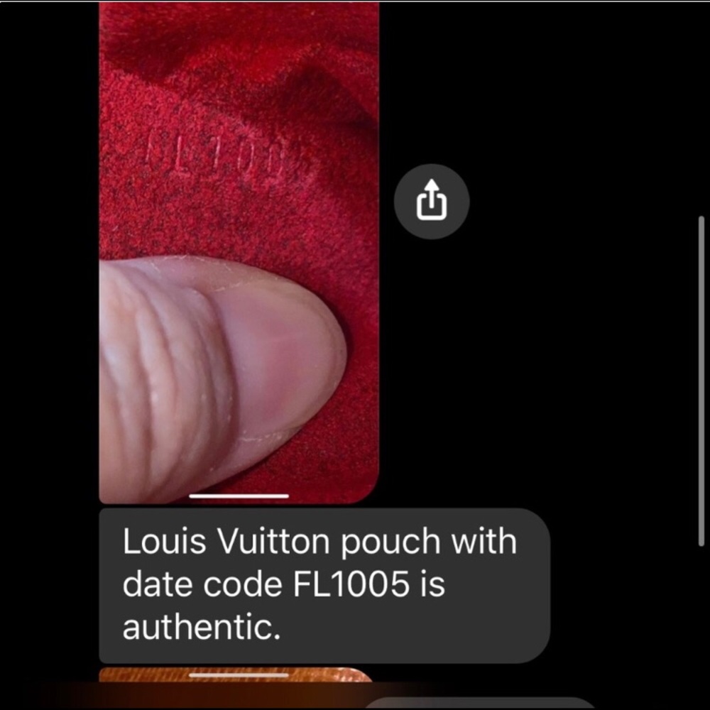 Louie Vuitton canvas Leather Wapity Pouch - Picture 8 of 8